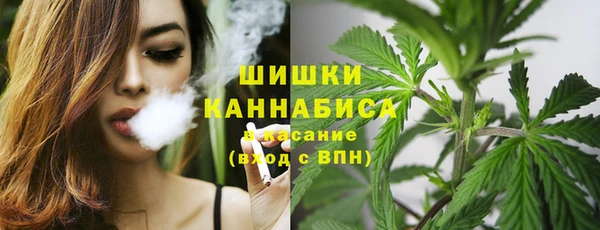 стаф Ветлуга