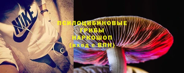 spice Абинск